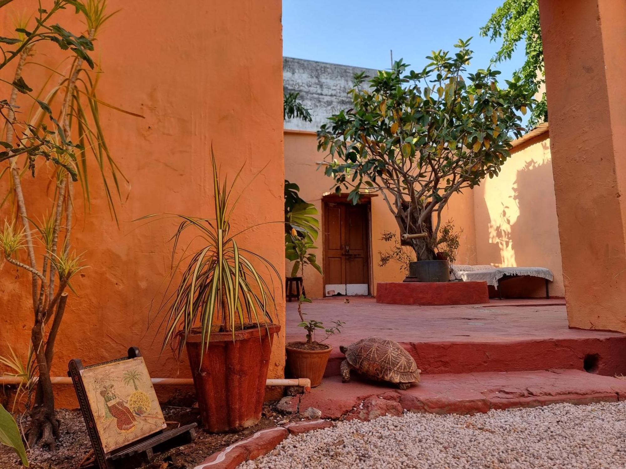 Karavan Kafe Puškar Exteriér fotografie